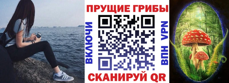 KRAKEN зеркало  Кочубеевское  Галлюциногенные грибы Psilocybine cubensis 