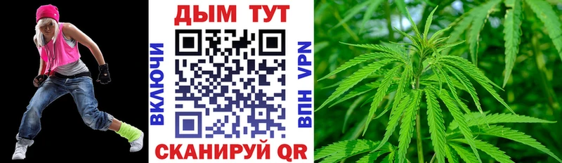 Канабис гибрид Кочубеевское